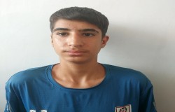 محمد رضا تبریزی