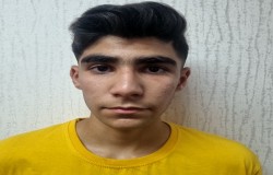 مانی ادبی