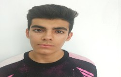 طاها شیخلو