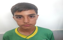 ابوالفضل فرهنگیان