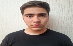 ایلیا احمدی