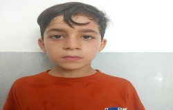 حسین داشی