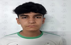 نیما علاالدینی