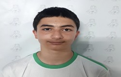 شاهین صانعی تتماج