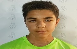 آرین نوروزی راد