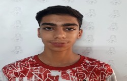 آرتین داداش نسب اوغانی