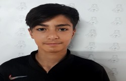 پارسا عرب شاهی
