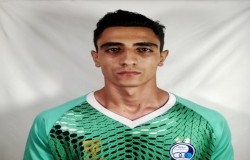 محمد مهدی انصاری