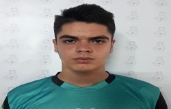 محمد حسین شایگانی