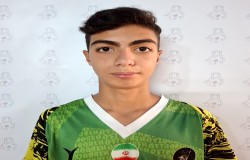 آراد بوستانی چنانی