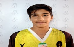 پرهام محمد حسنی