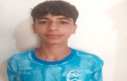 ایلیا امینی