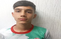 محمدپارسا نوبریان