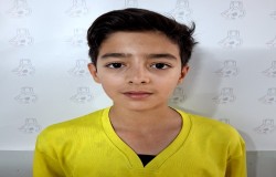 محمدرضا مرادی
