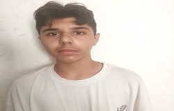 آریا آجرلوئی نلخاصی