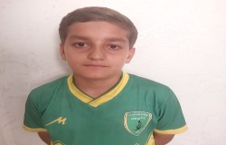 محمد حسین تیمور نیا