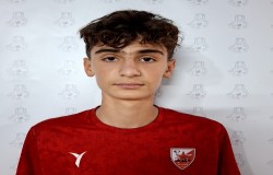 امیر محمد محمودزاده سندانی
