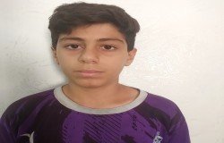 بارسا جعفری