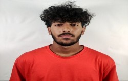 آریو مهدوی کیا