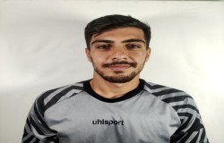 رضا حبیبی