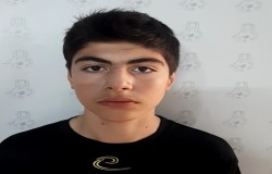 آرین بابایی
