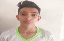 کمیل شری زاده