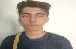 محمدحسین سلیمانی