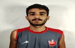 محمد رضا میر شفیعیان