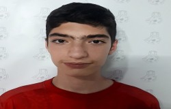 ابوالفضل میرزائی