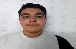 ارسطو کیمیائی منش