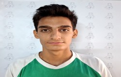 محمد نجفقلونی