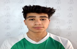آرتا ولی زاده