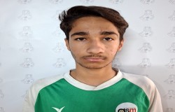 محمد رضا چیوائی