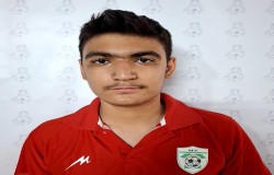 امیرحسین باغچی زاده خامنه
