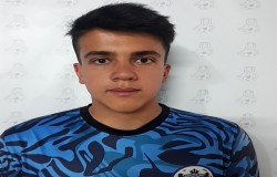 پارسا طالبی