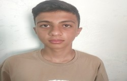عرشیا حسنی تقی بور