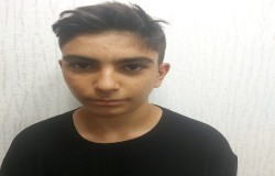 ماهان مردانی