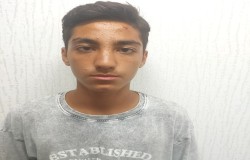 محسن کریملو