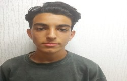 محمد حسام ولی زاده