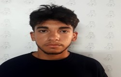 محمد مهیار امیر قلی