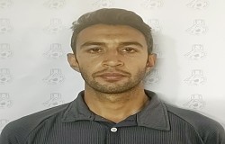 محمدرضا صادقی