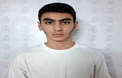 بردیا تصویبی تنها