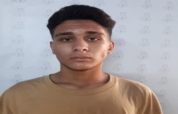 امیر عباس زلفی