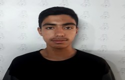 امیررضا ضیاء