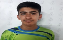 شایان نصرتی