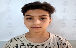 پارسا صارمی