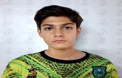 مانی صلواتی