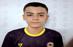 آرتین نجفی
