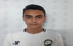 آرمین زارعی