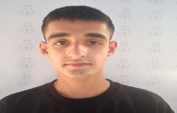 امیرعلی همدست